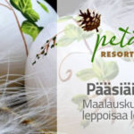 petays-paasiainen