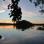 kesakuva