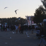 Porijazz_2019_39 (kopio)