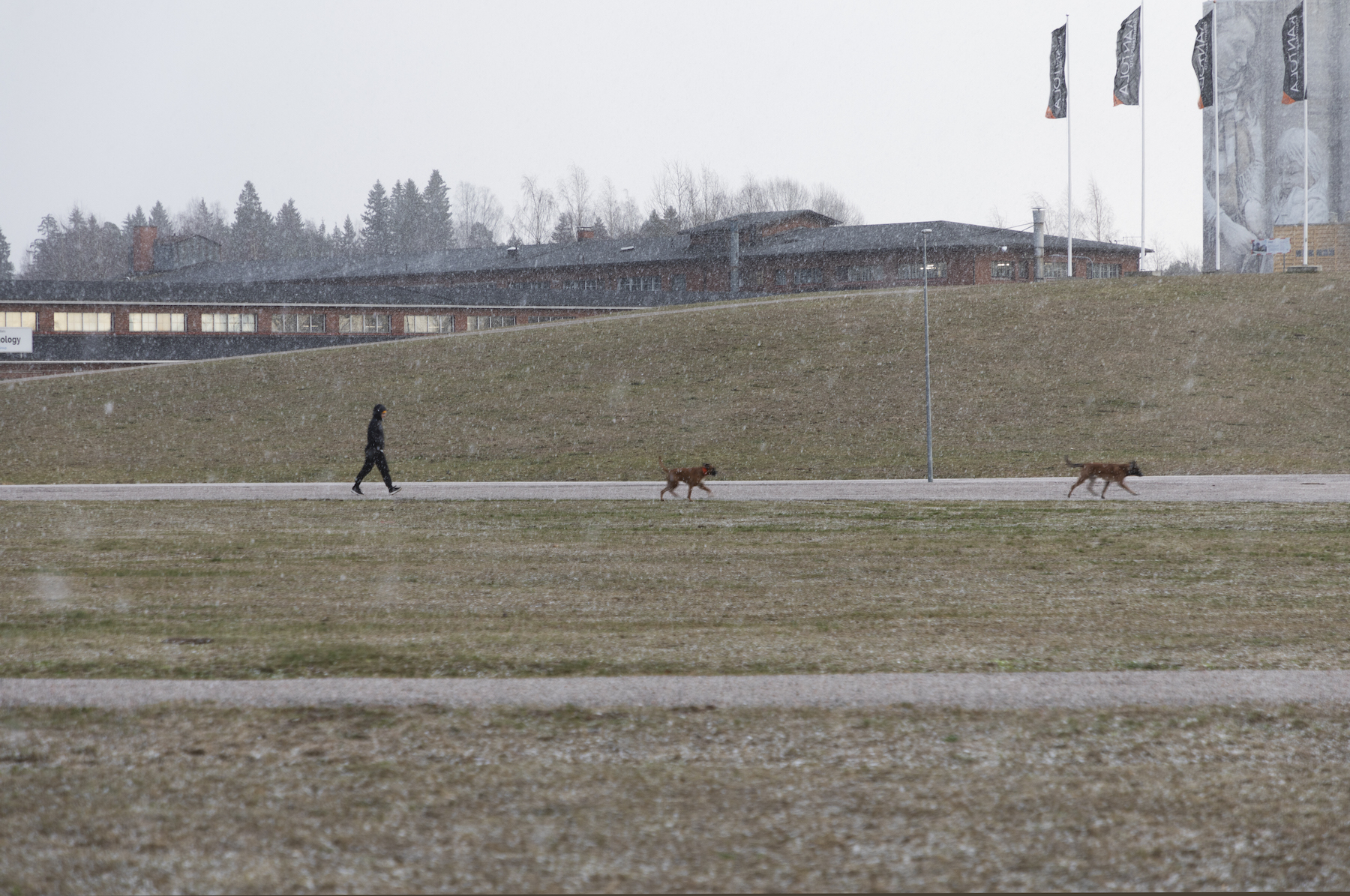Tapahtumapuisto_Kantola