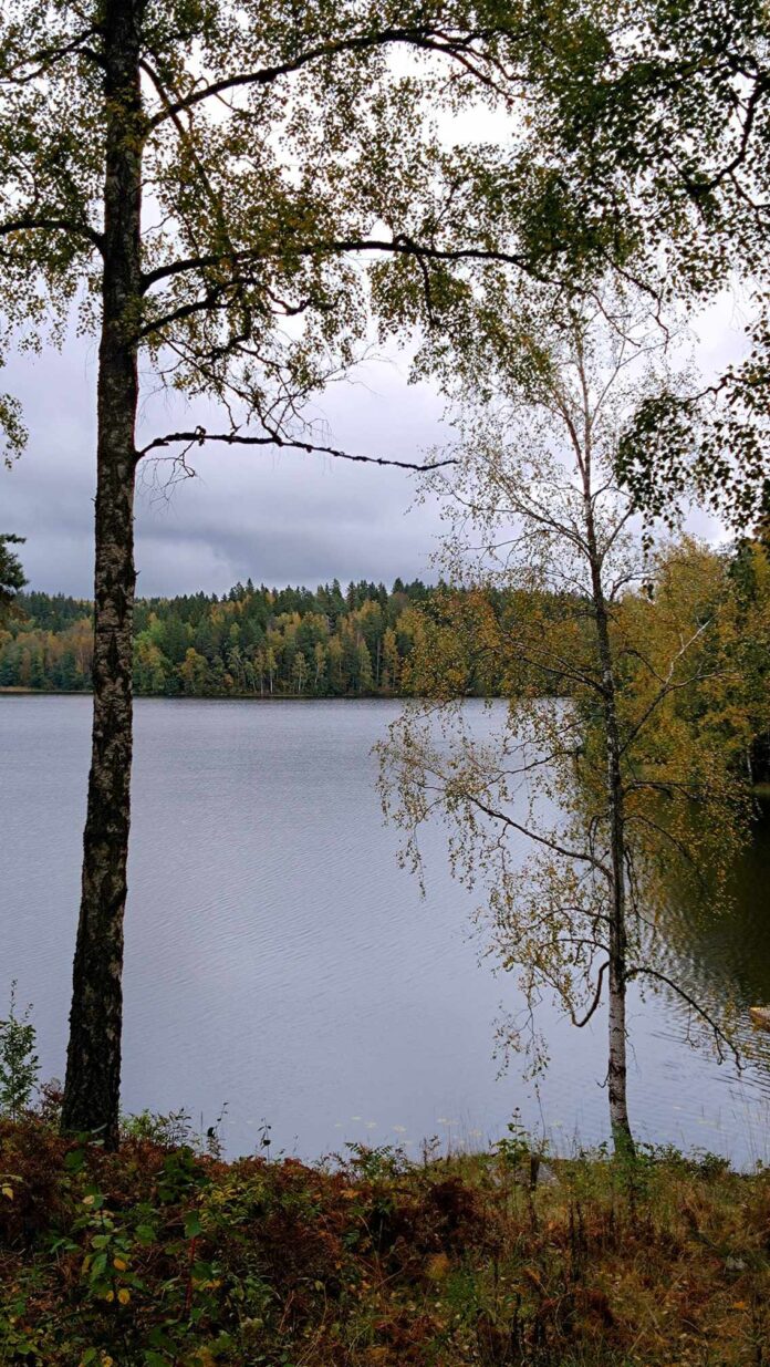 Maisema _Aulangonjärvelle_kuvaaja_Sanni_Hallanvaara